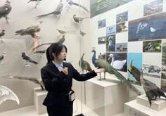 a791161c9c741008e054db55c1331340