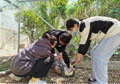 13eef6187b0d6e8719081d23e9148260