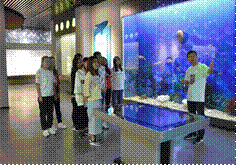 bd0963306d567a5956b0b2072b6da4c7