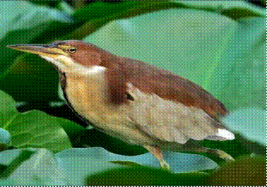 5f78d9514cac293d94e9b238390bdc9a