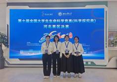 91ae0e8236940ea3bfd21bbb2a8cf127